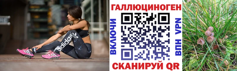 Галлюциногенные грибы Cubensis  Купить закладки  Краснокамск 