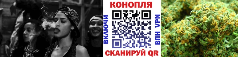 Купить где  Краснокамск  Каннабис сатива 